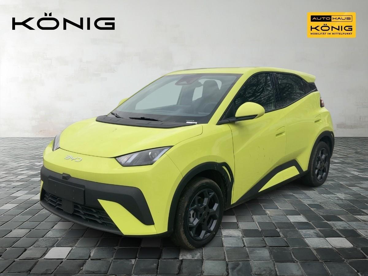 BYD DOLPHIN SURF Boost-LHD