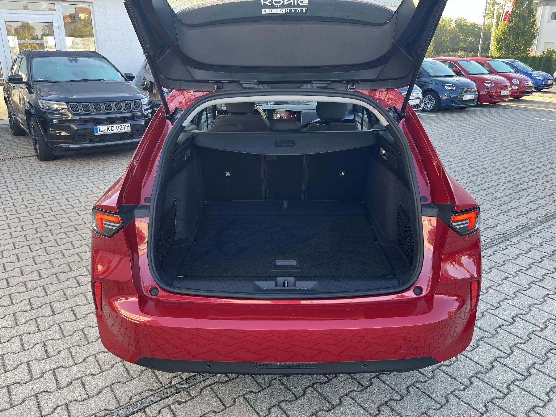 Fahrzeug-Bild 18