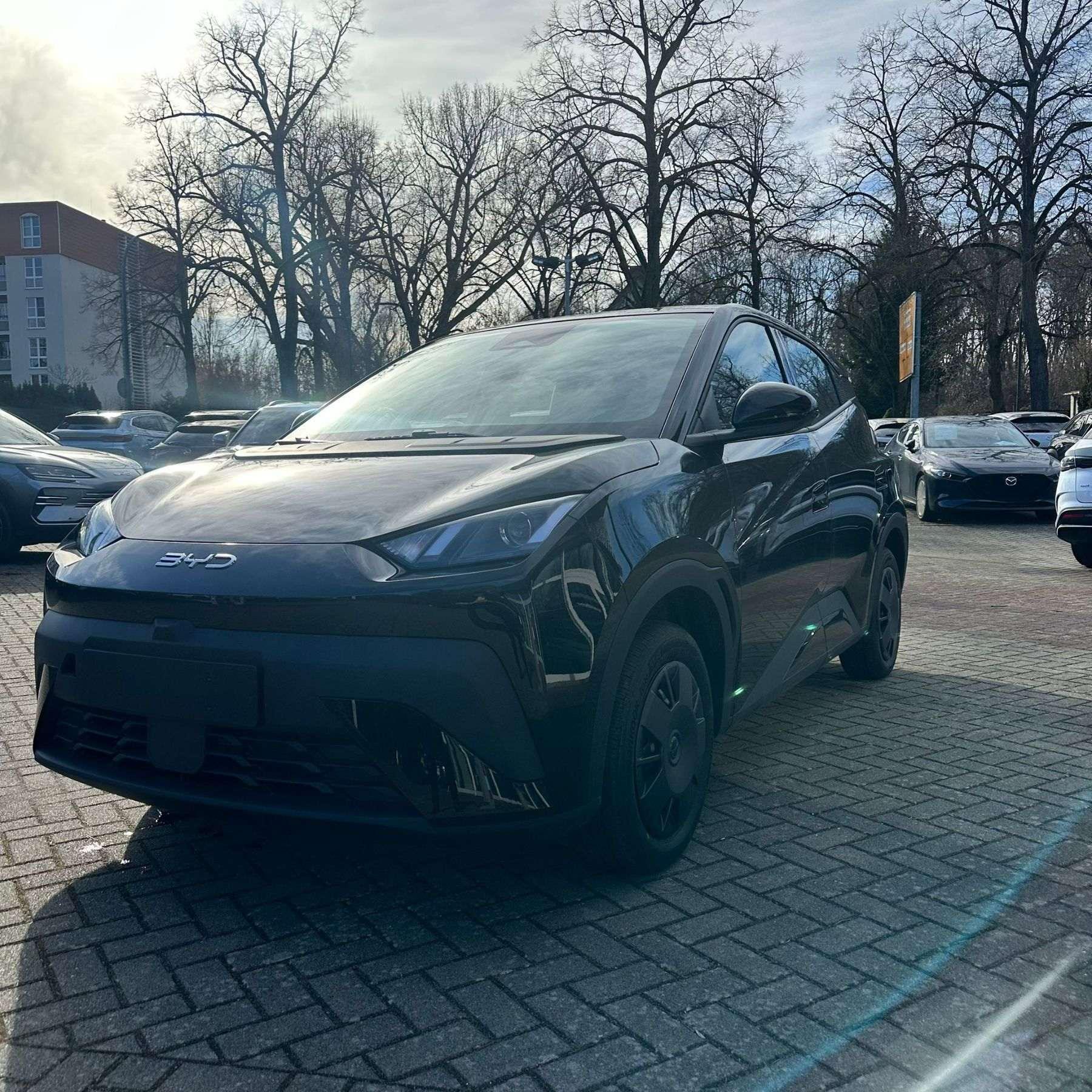 BYD DOLPHIN SURF Active