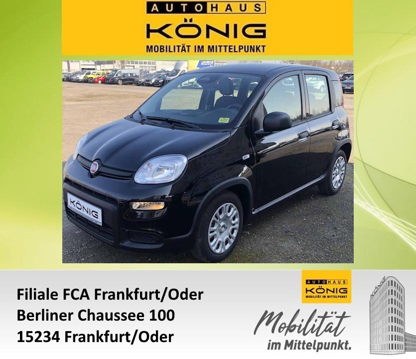 Fiat Panda MY24 1.0 Klima PDC Citypaket