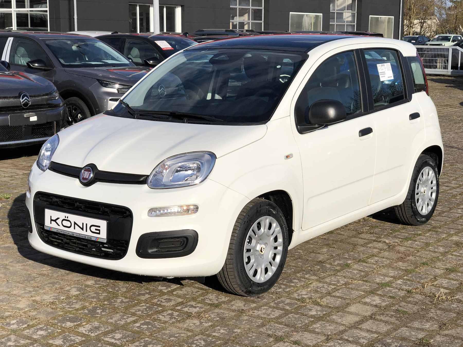 Fiat Panda MY25 1.0 Klima PDC Citypaket