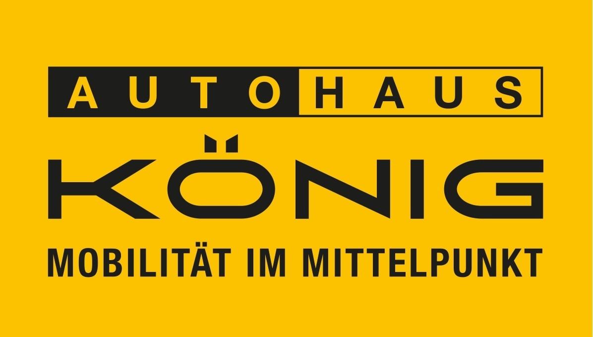 Fahrzeug-Bild 16
