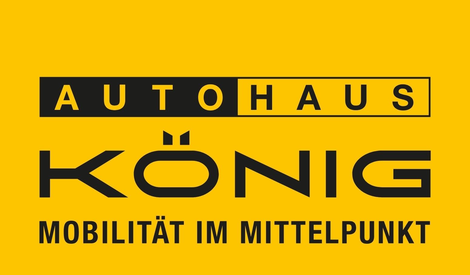 Fahrzeug-Bild 16