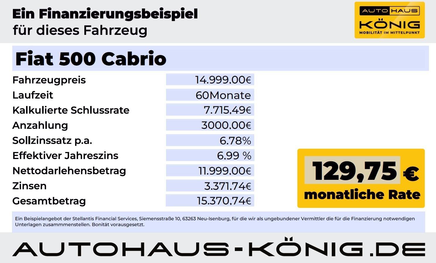 Fahrzeug-Bild 19