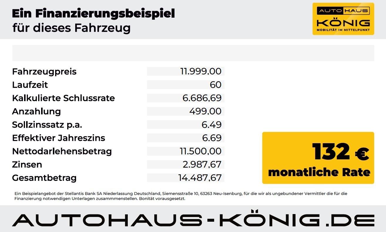 Fahrzeug-Bild 17