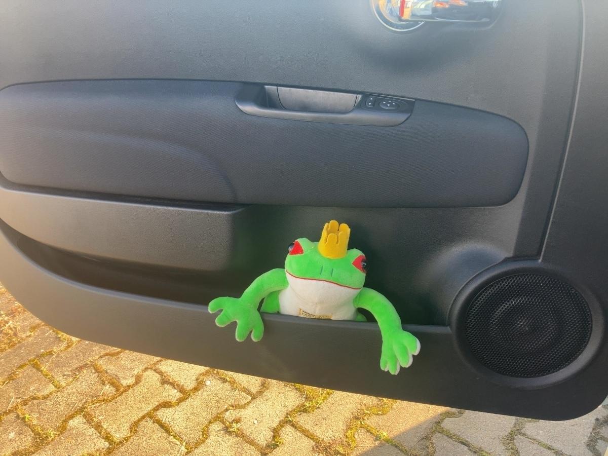 Fahrzeug-Bild 14