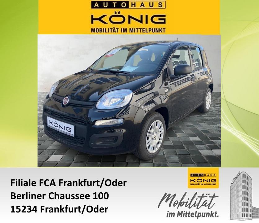 Fiat Panda MY25 1.0 Klima PDC Citypaket