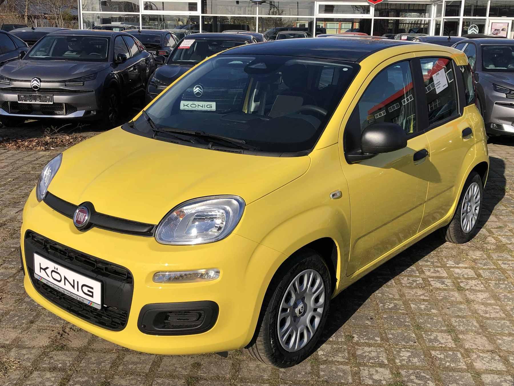 Fiat Panda MY25 1.0 Klima PDC Citypaket