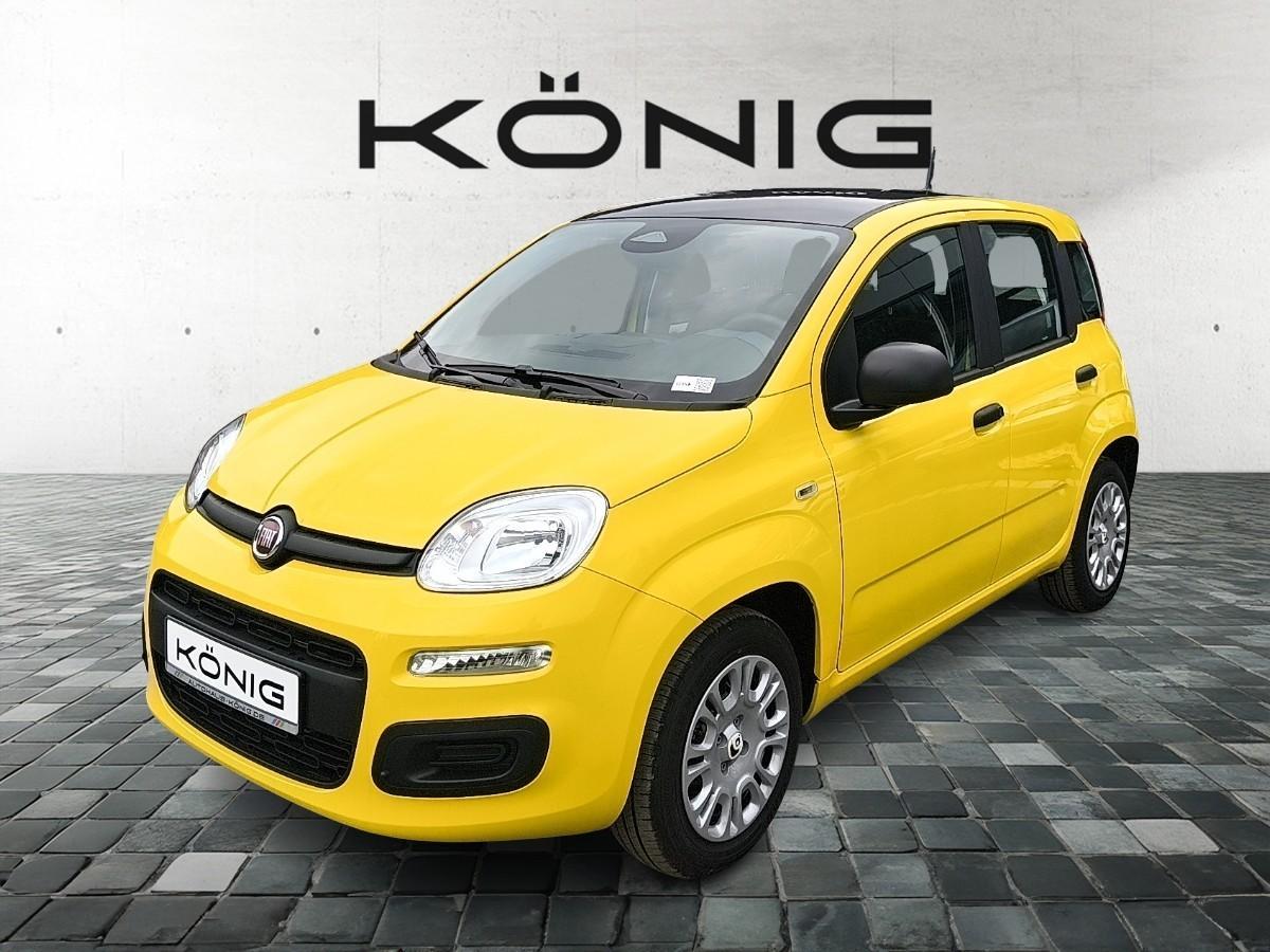 Fiat Panda MY25 1.0 Klima PDC Citypaket