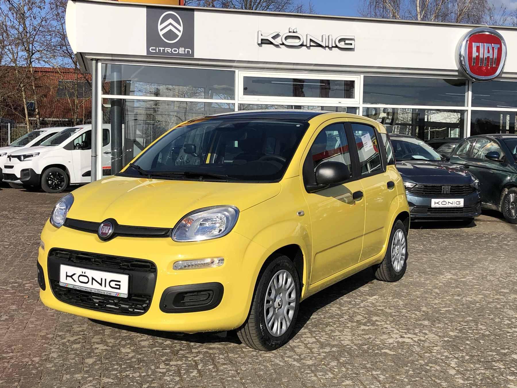 Fiat Panda MY25 1.0 Klima PDC Citypaket