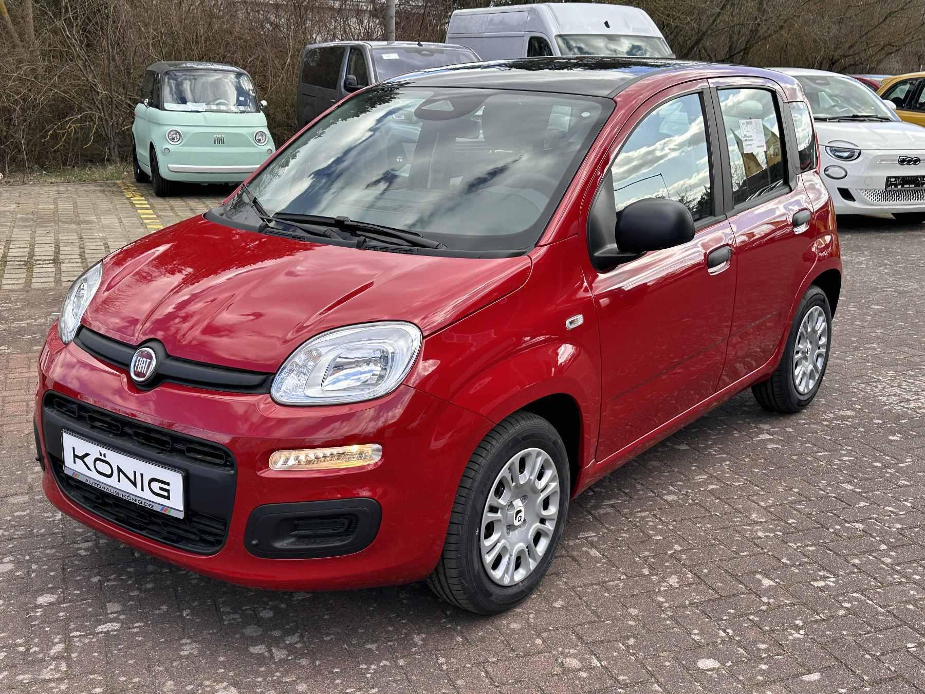 Fiat Panda MY25 1.0 Klima PDC Citypaket