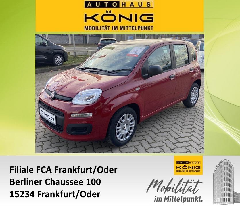Fiat Panda MY25 1.0 Klima PDC Citypaket