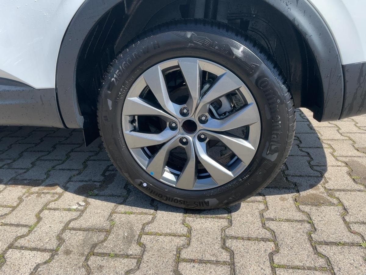 Fahrzeug-Bild 6