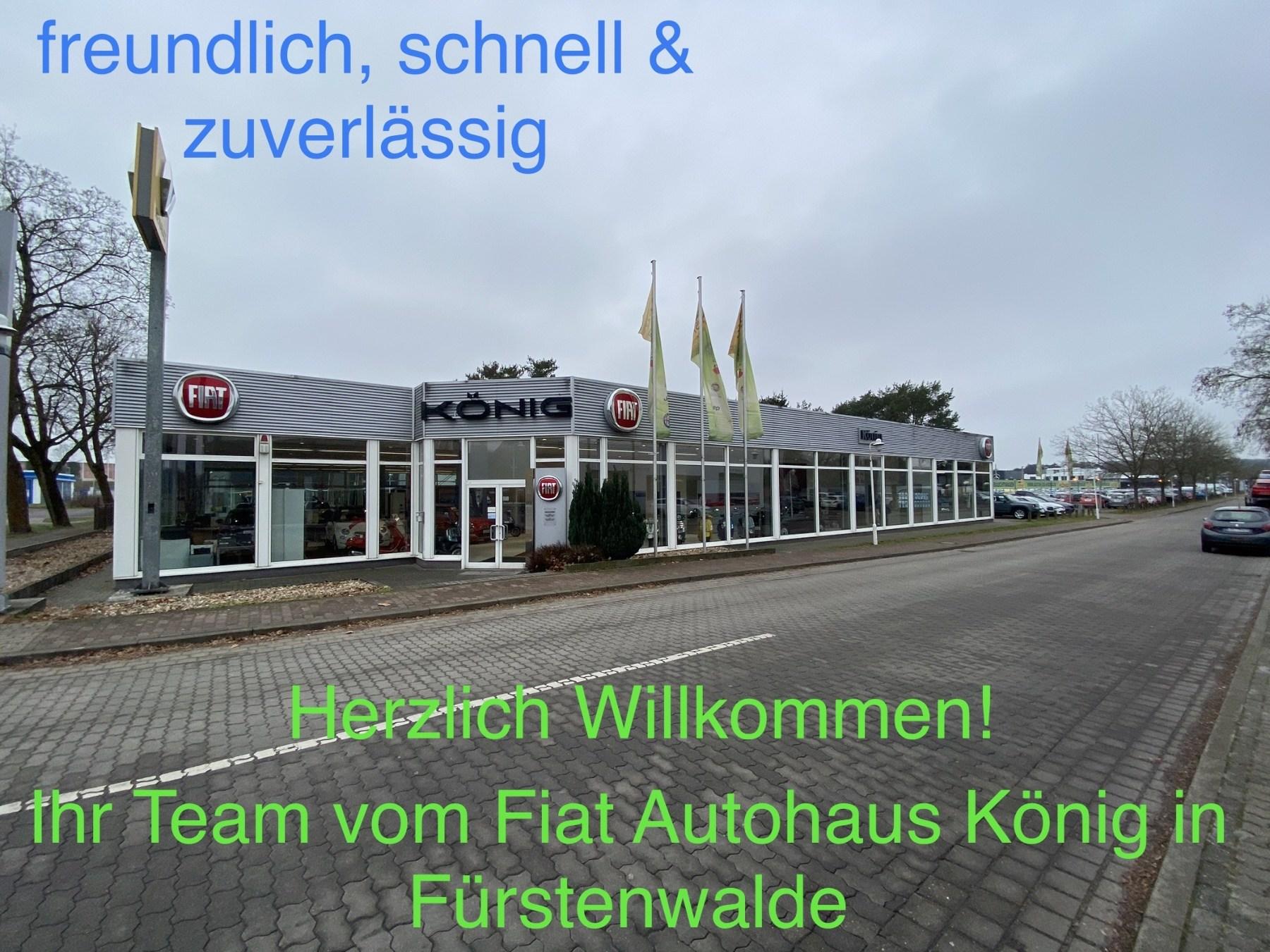Fahrzeug-Bild 12
