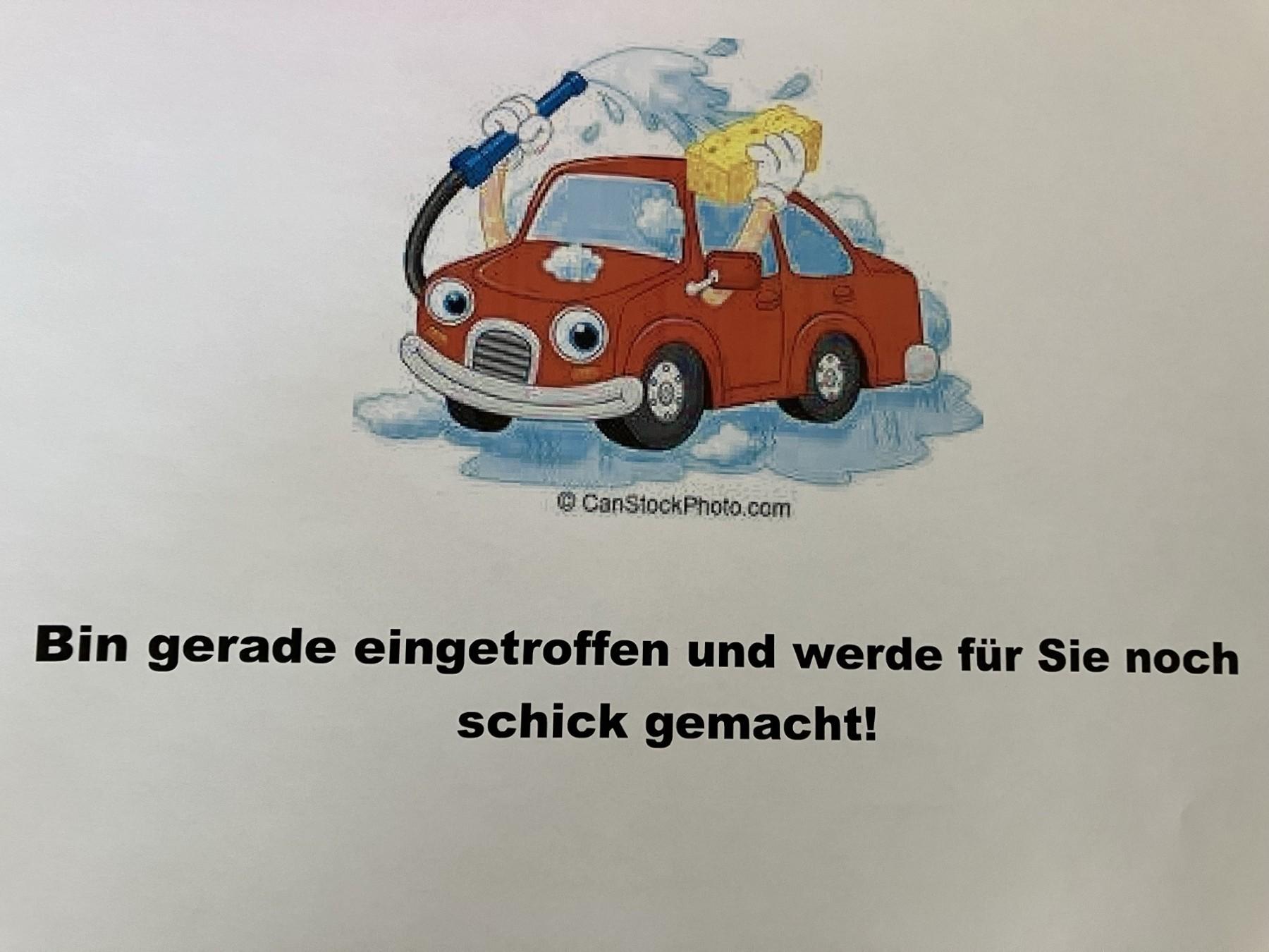 Fahrzeug-Bild 9