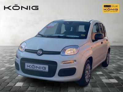 Fiat Panda MY25 1.0 70PS Eurostar Klima PDC