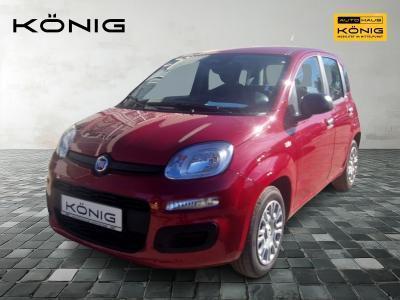 Fiat Panda MY25 1.0 70PS Eurostar Klima PDC