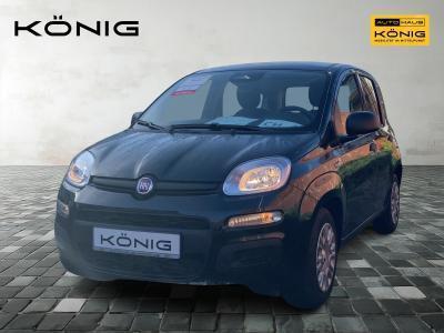 Fiat Panda MY25 1.0 70PS Eurostar Klima PDC