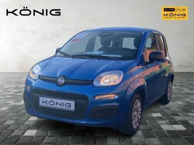 Fiat Panda MY25 1.0 70PS Eurostar Klima PDC
