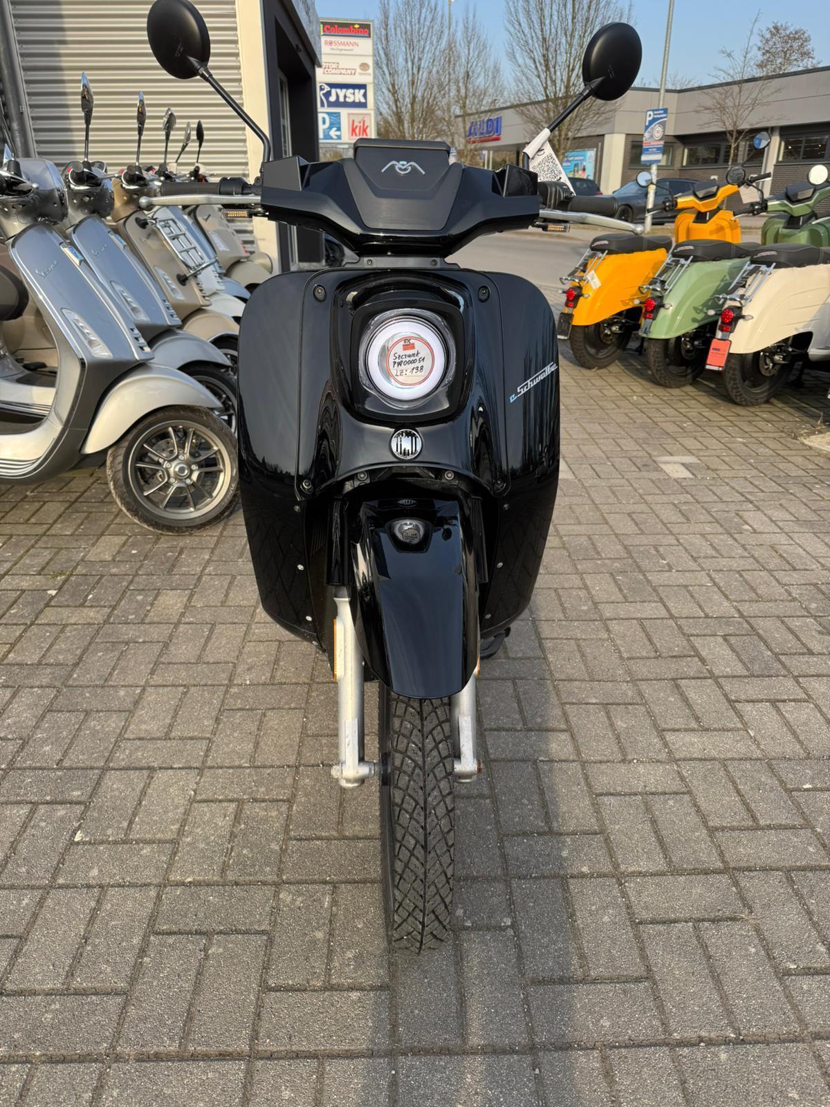 eSchwalbe 50er 45 km/h Lithium-Akku tragbar