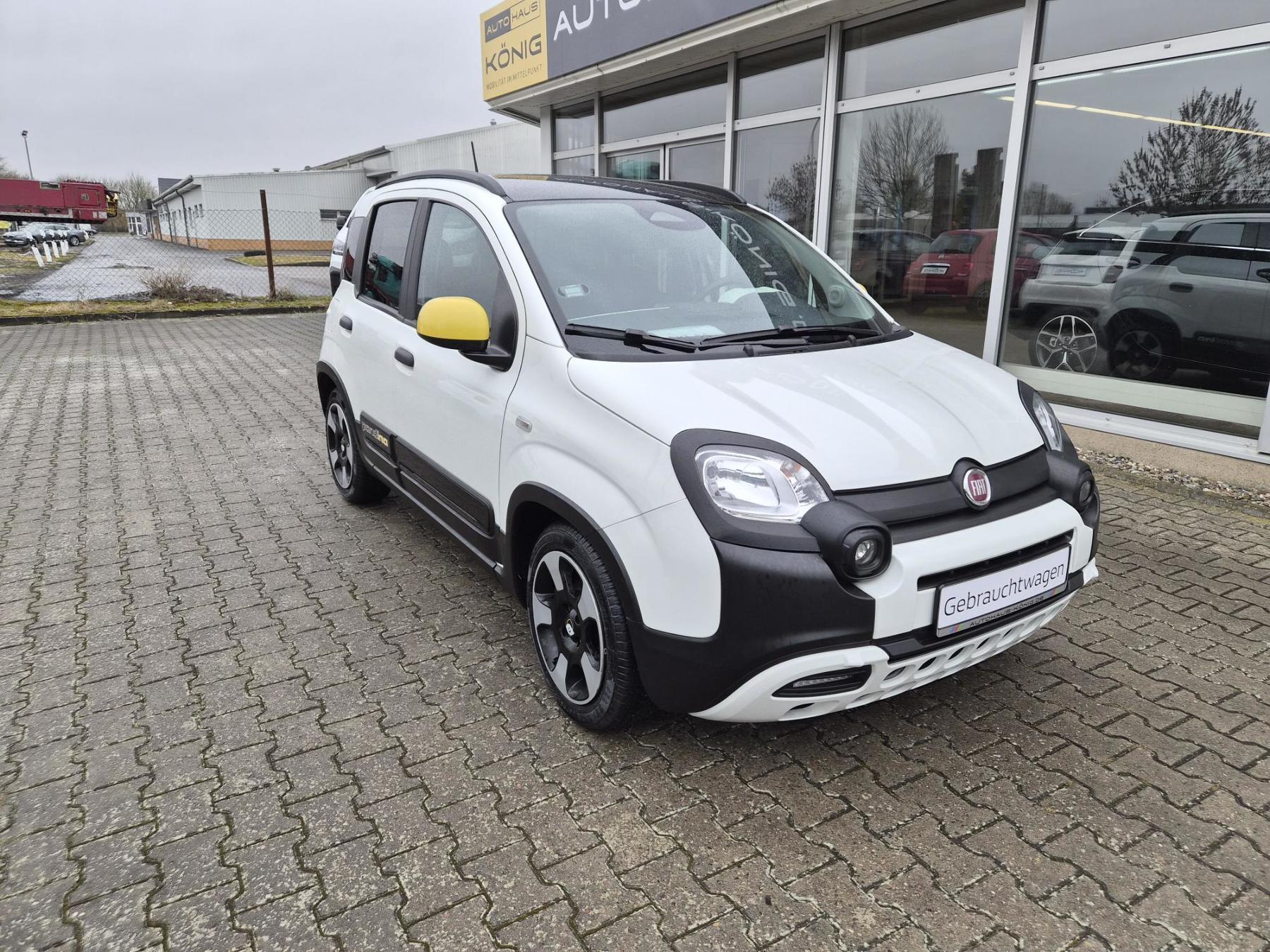 Fiat Panda Pandina Cross