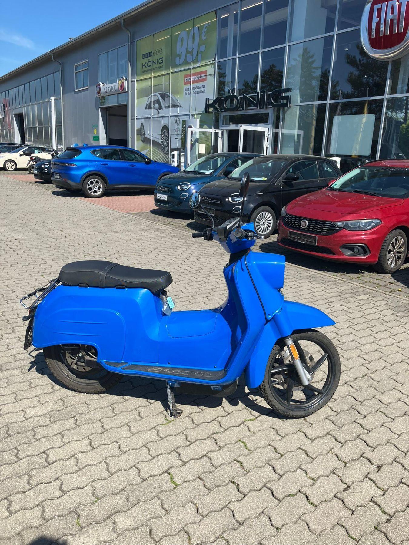 eSchwalbe 50er 45 km/h Lithium-Akku tragbar Bis zu 100 KM