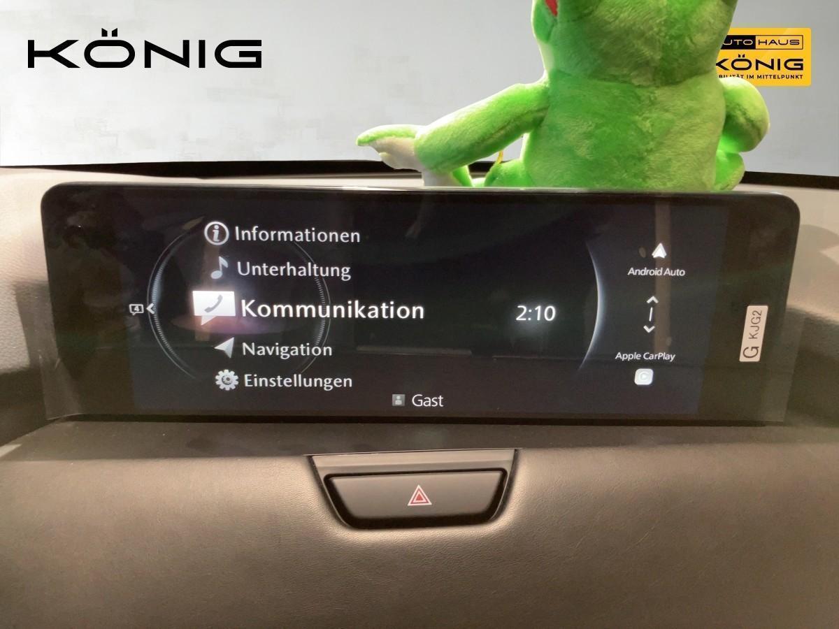 Fahrzeug-Bild 16