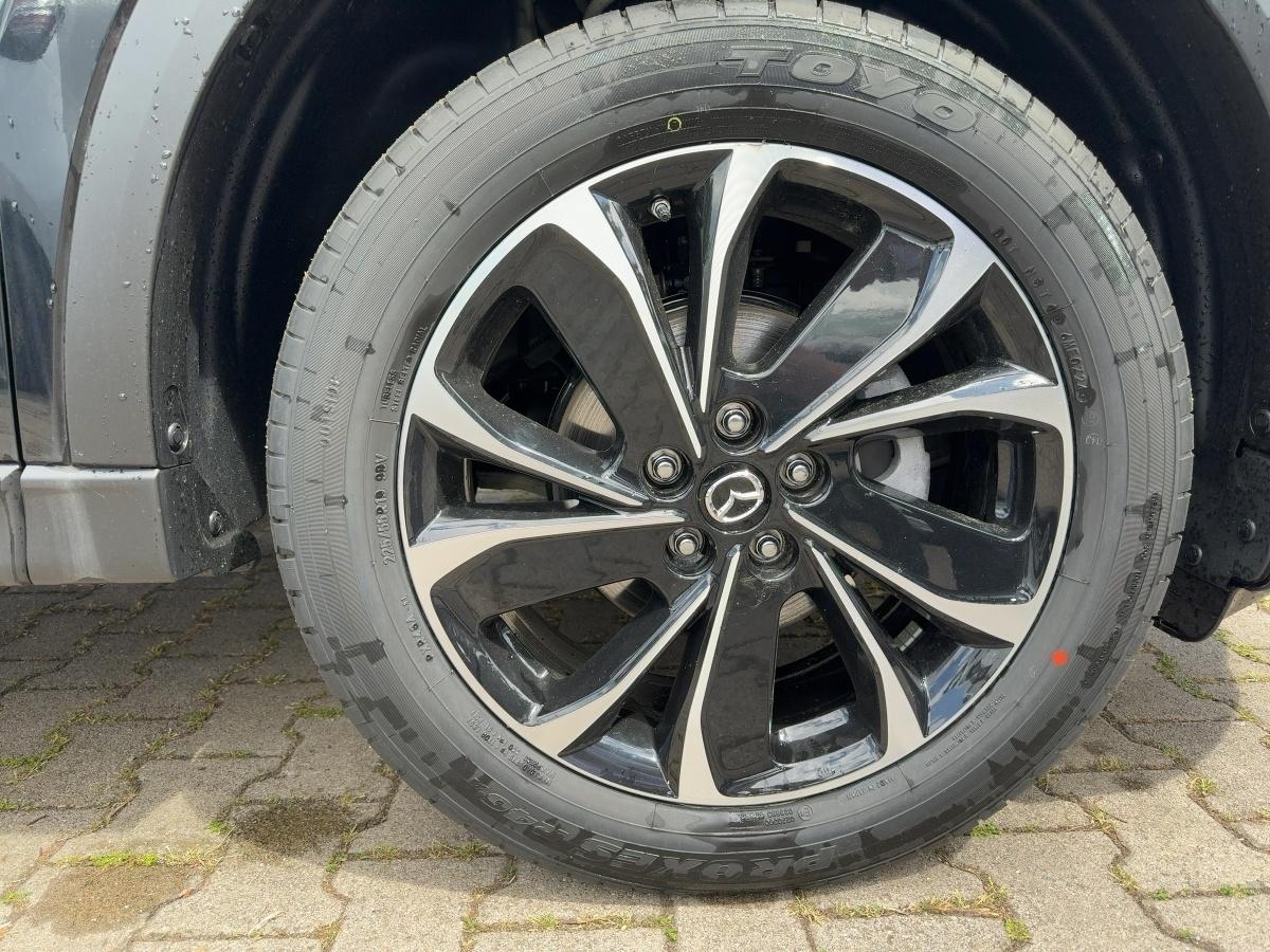 Fahrzeug-Bild 6