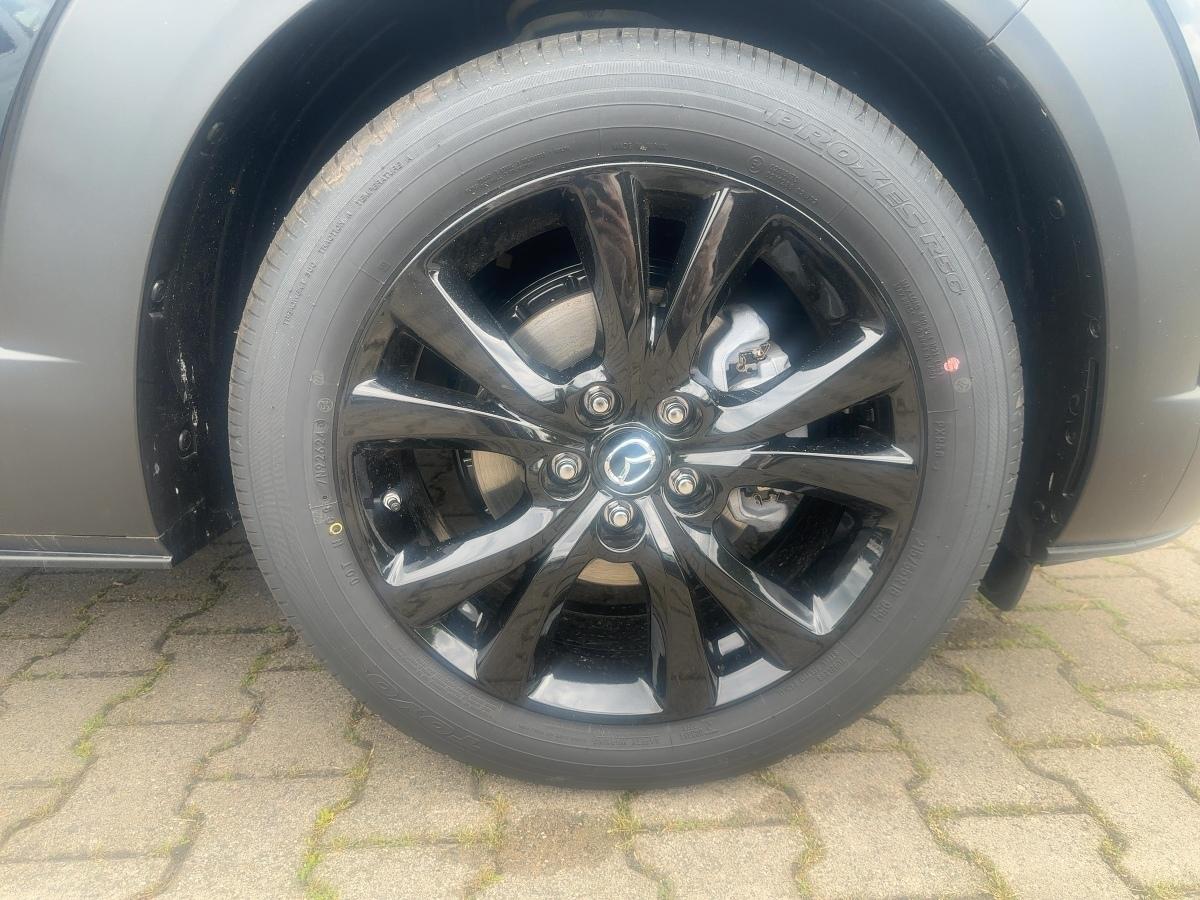 Fahrzeug-Bild 6