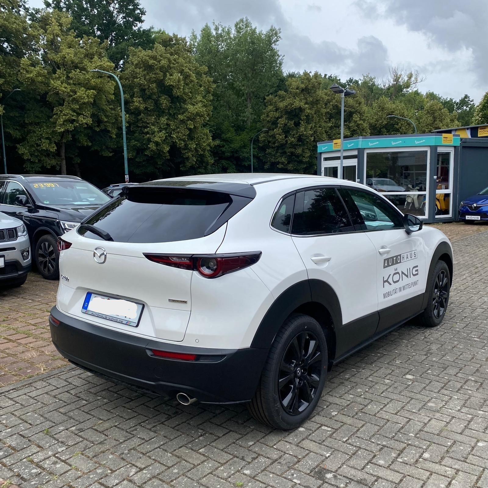 Fahrzeug-Bild 3