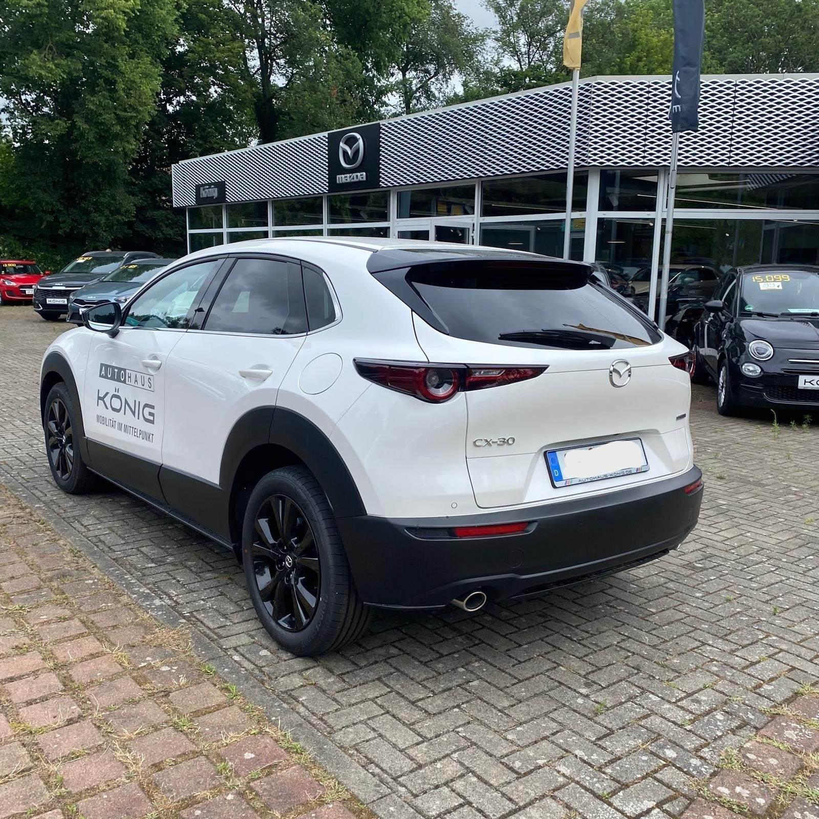 Fahrzeug-Bild 4