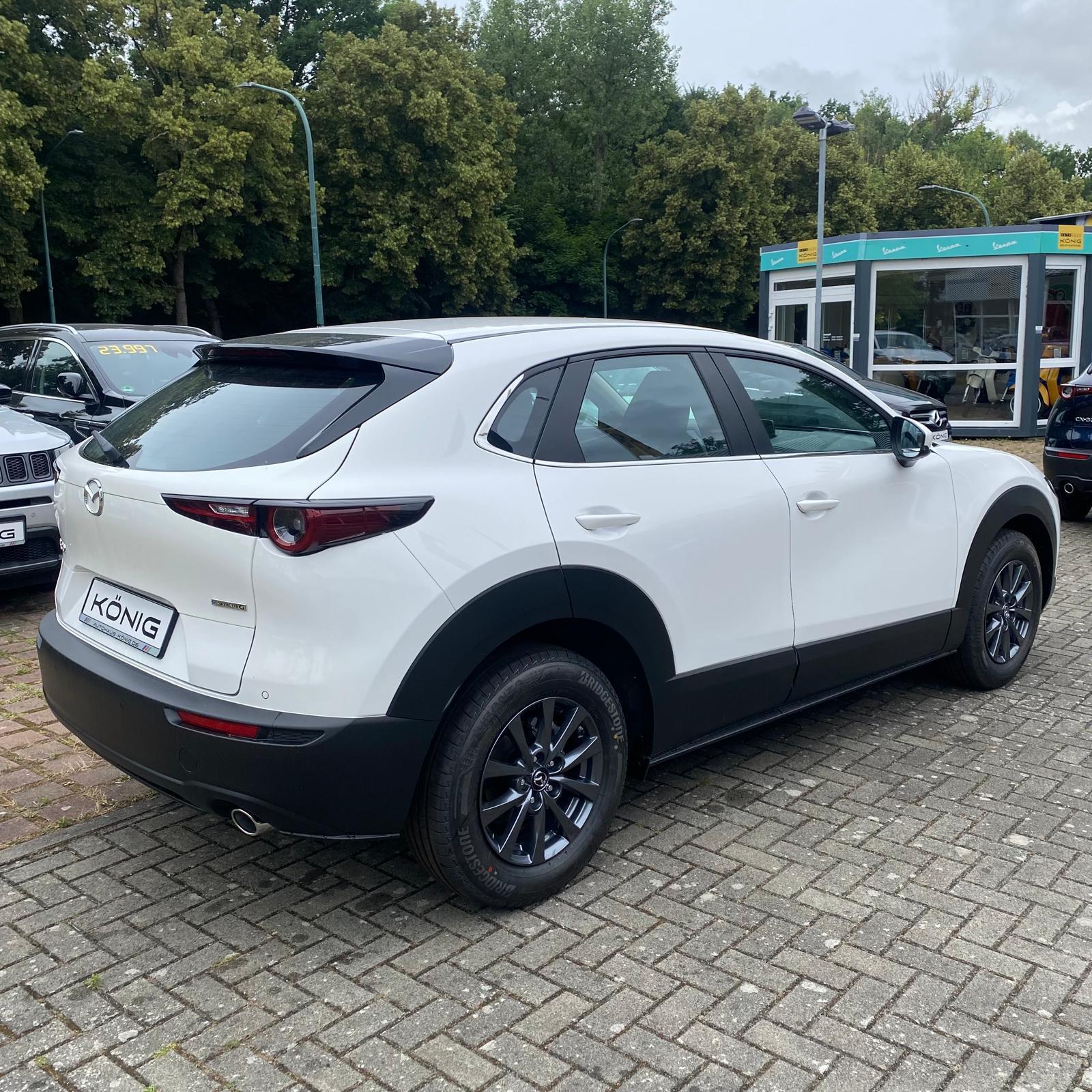 Fahrzeug-Bild 5