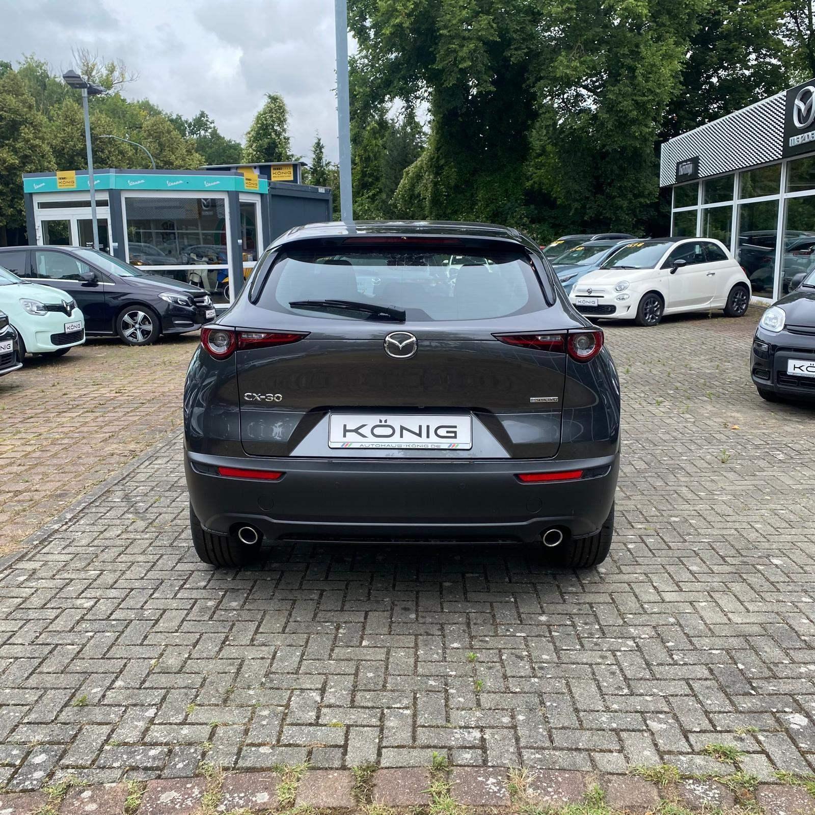 Fahrzeug-Bild 6