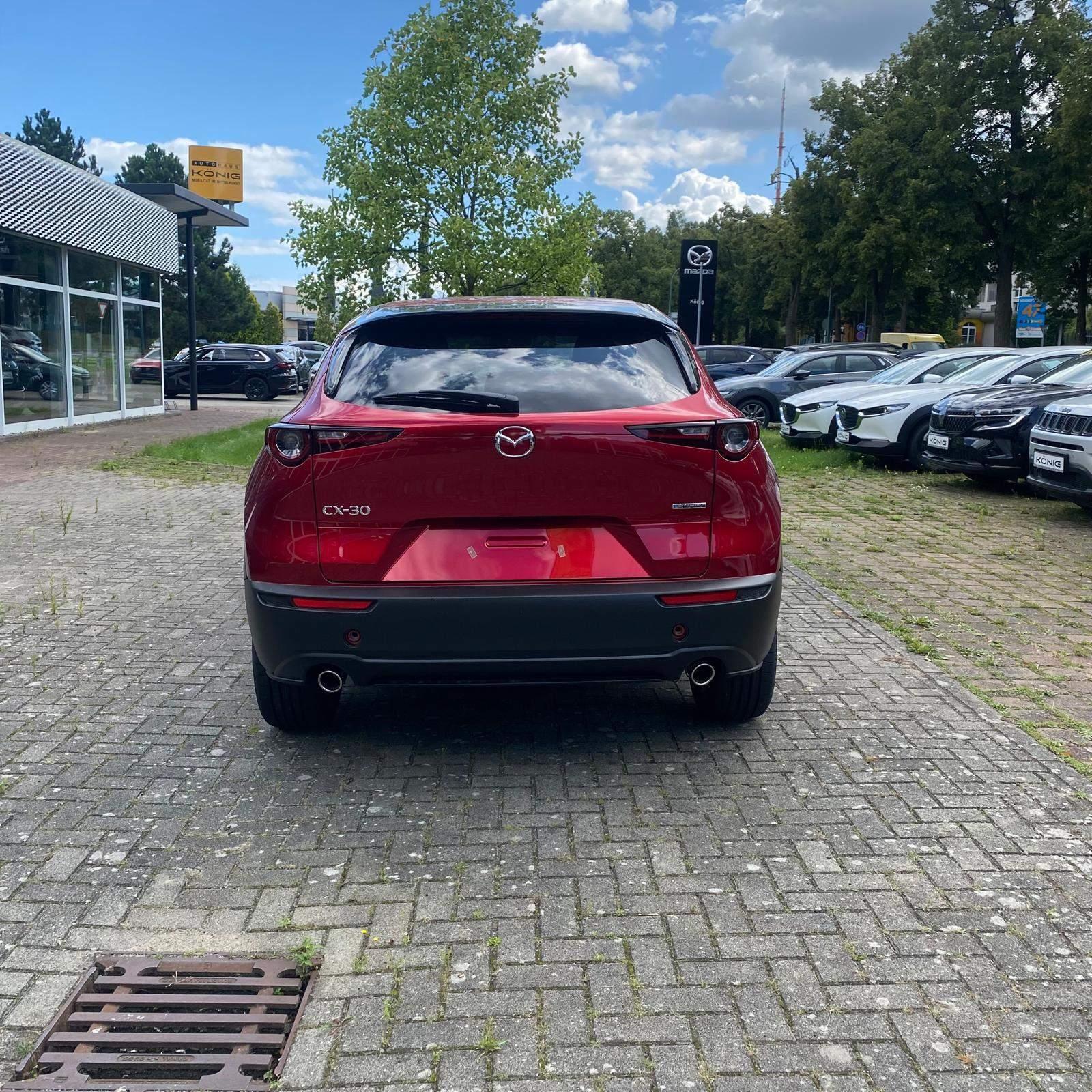 Fahrzeug-Bild 7