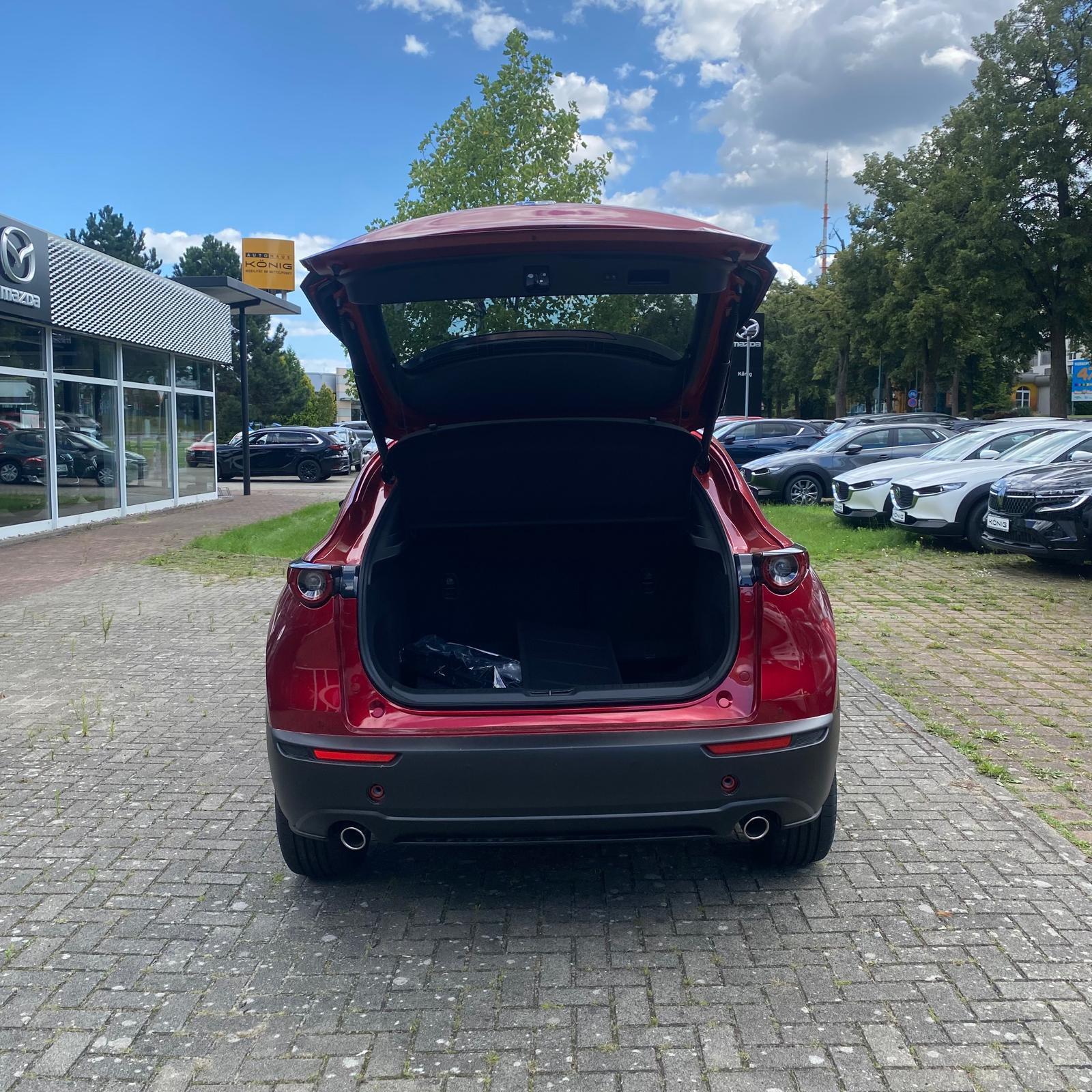Fahrzeug-Bild 9