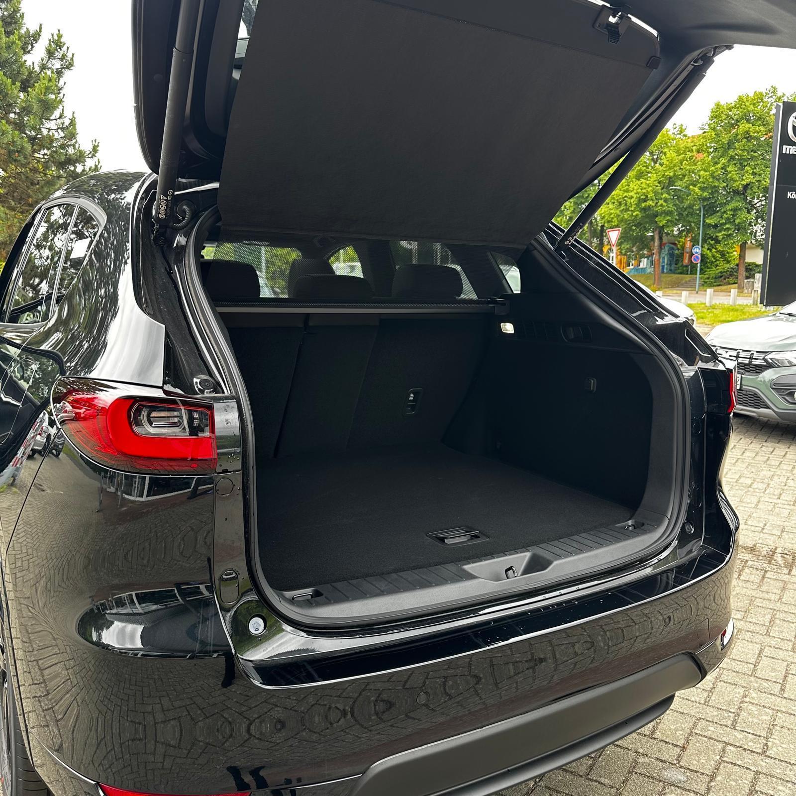Fahrzeug-Bild 15