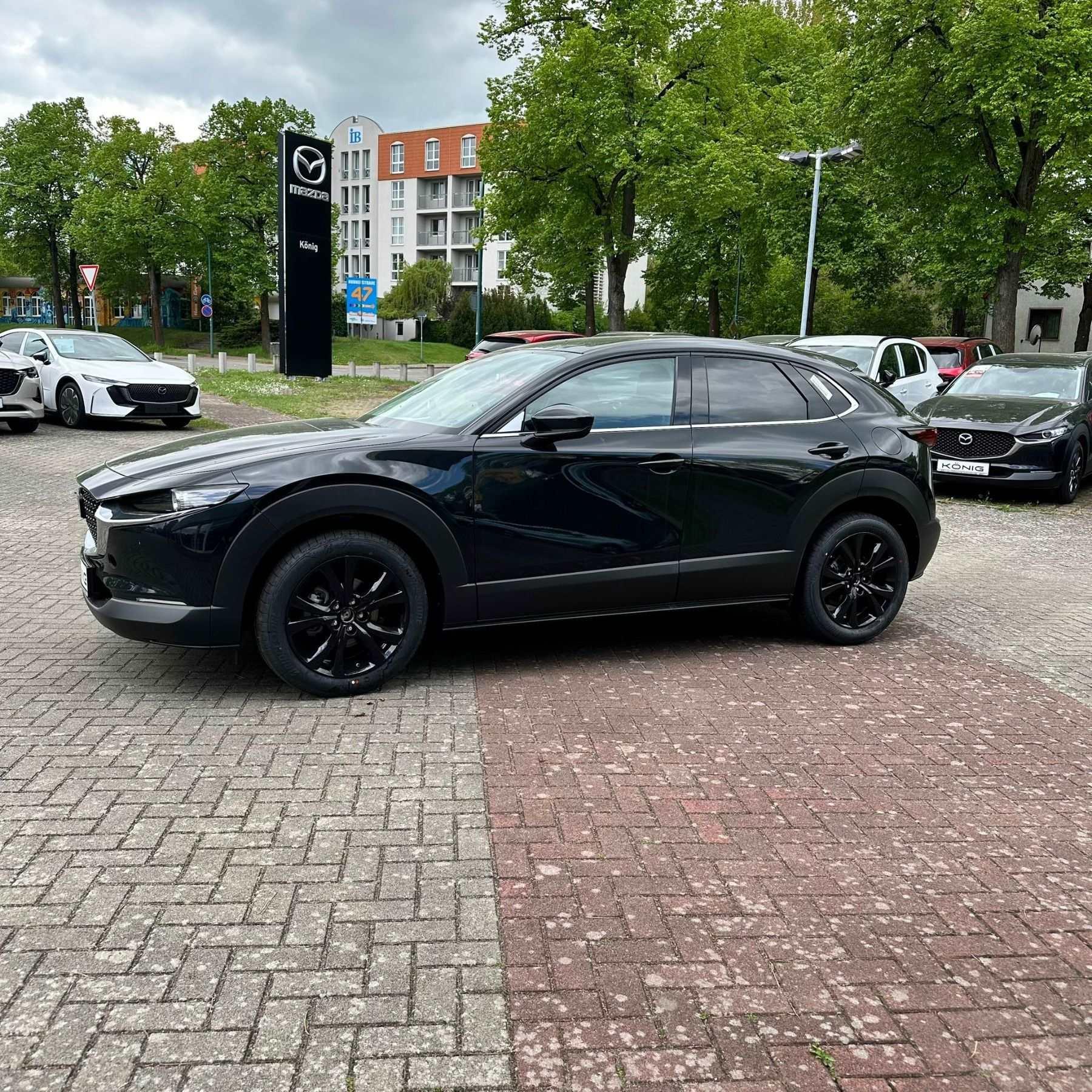 Fahrzeug-Bild 9