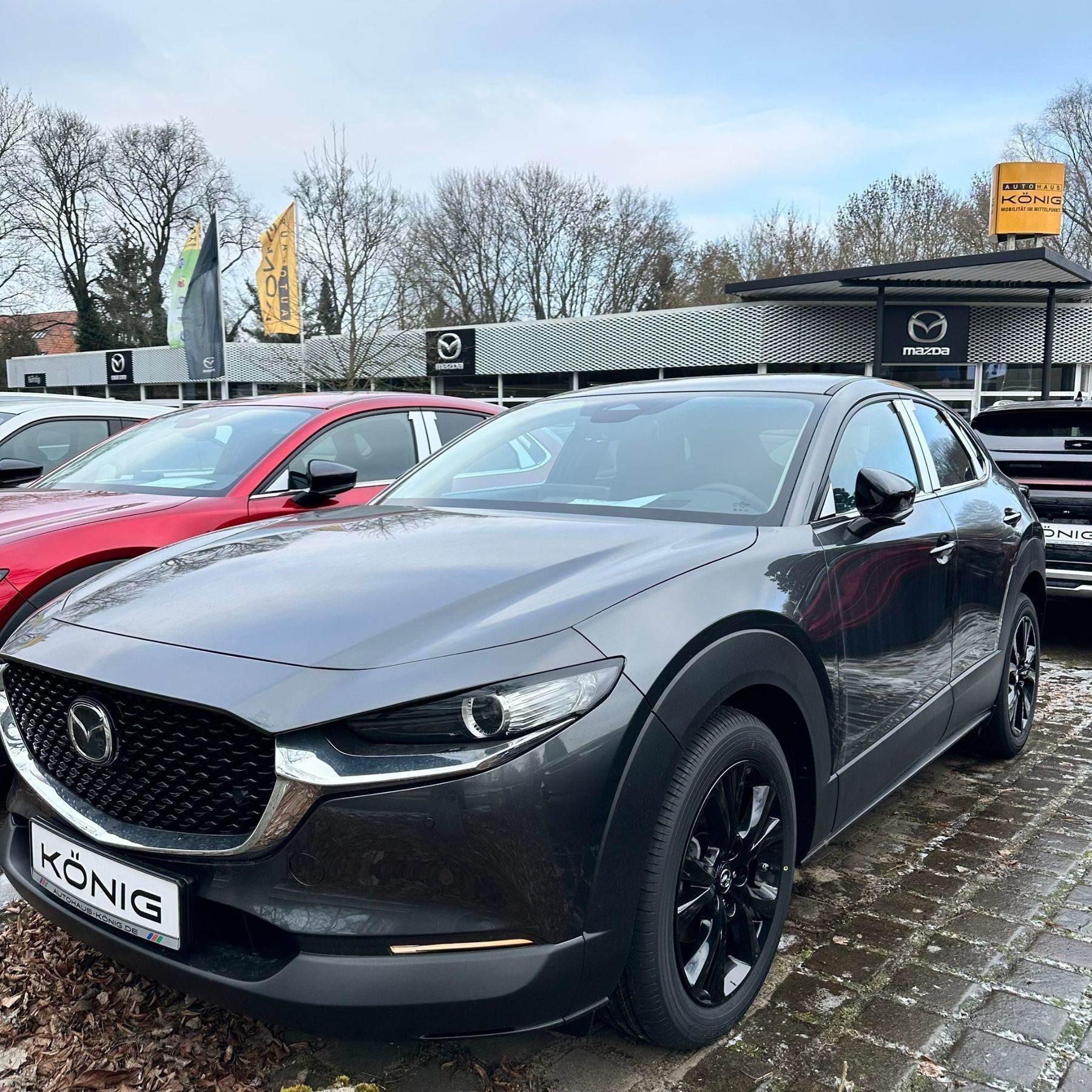 Mazda CX-30 2.5L e-SKYACTIV G 140 6AT FWD Homura