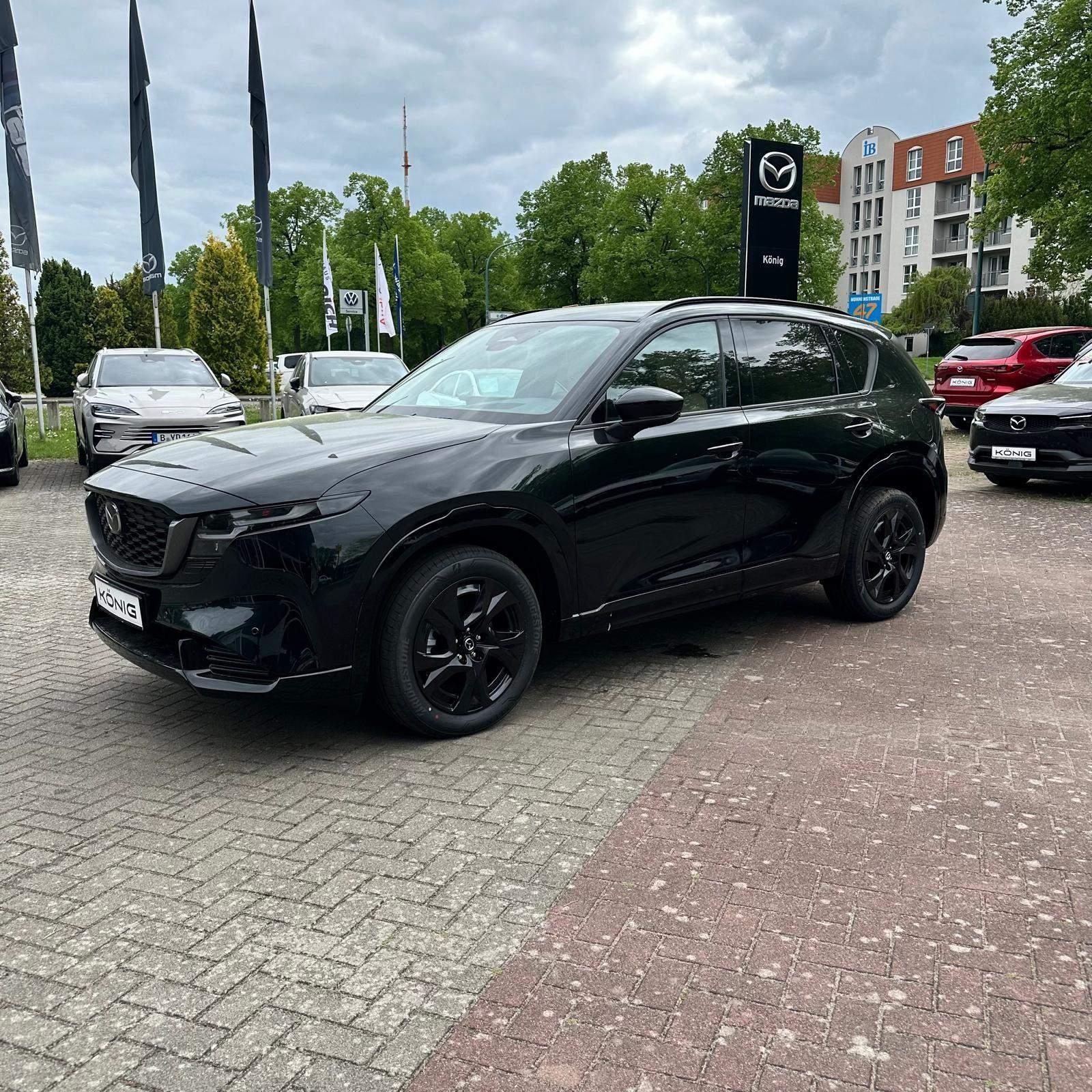 Fahrzeug-Bild 9