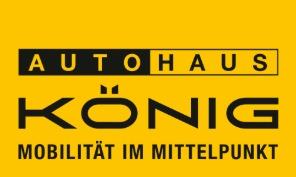 Fahrzeug-Bild 12