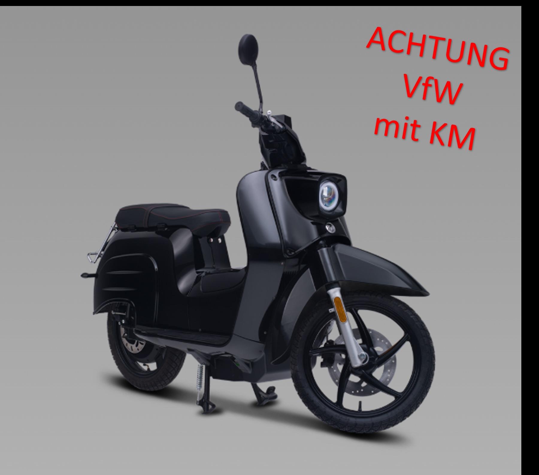 Govecs e Schwalbe 45 km/h 2 tragbare Lithium-Akkus