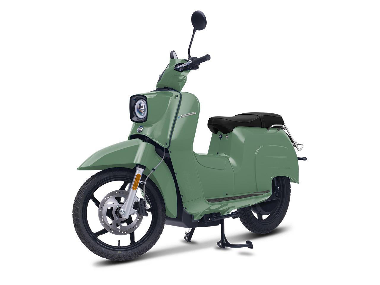 Govecs e Schwalbe 45 km/h 1 tragbarer Lithium-Akku