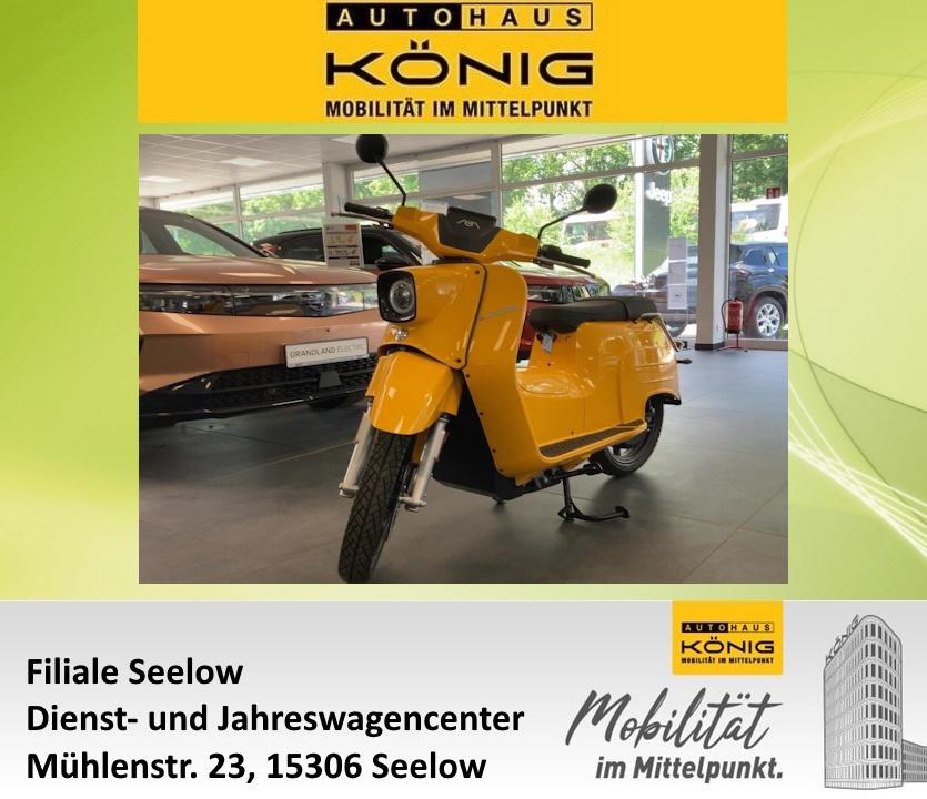 Govecs e Schwalbe 45 km/h 1 tragbares Lithium-Akku