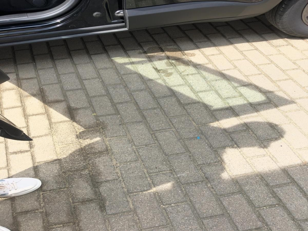 Fahrzeug-Bild 13