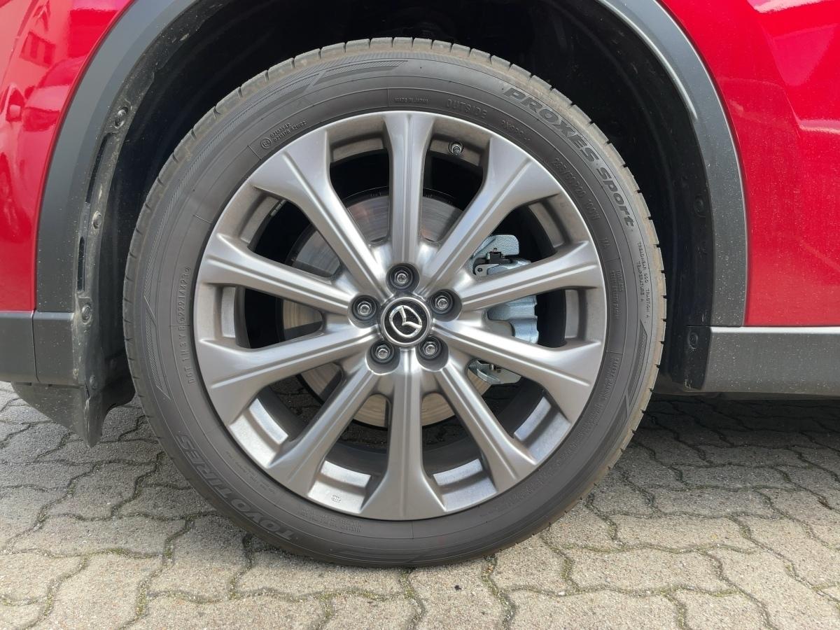 Fahrzeug-Bild 6