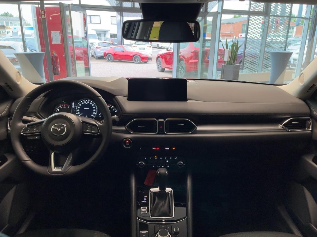 Fahrzeug-Bild 9