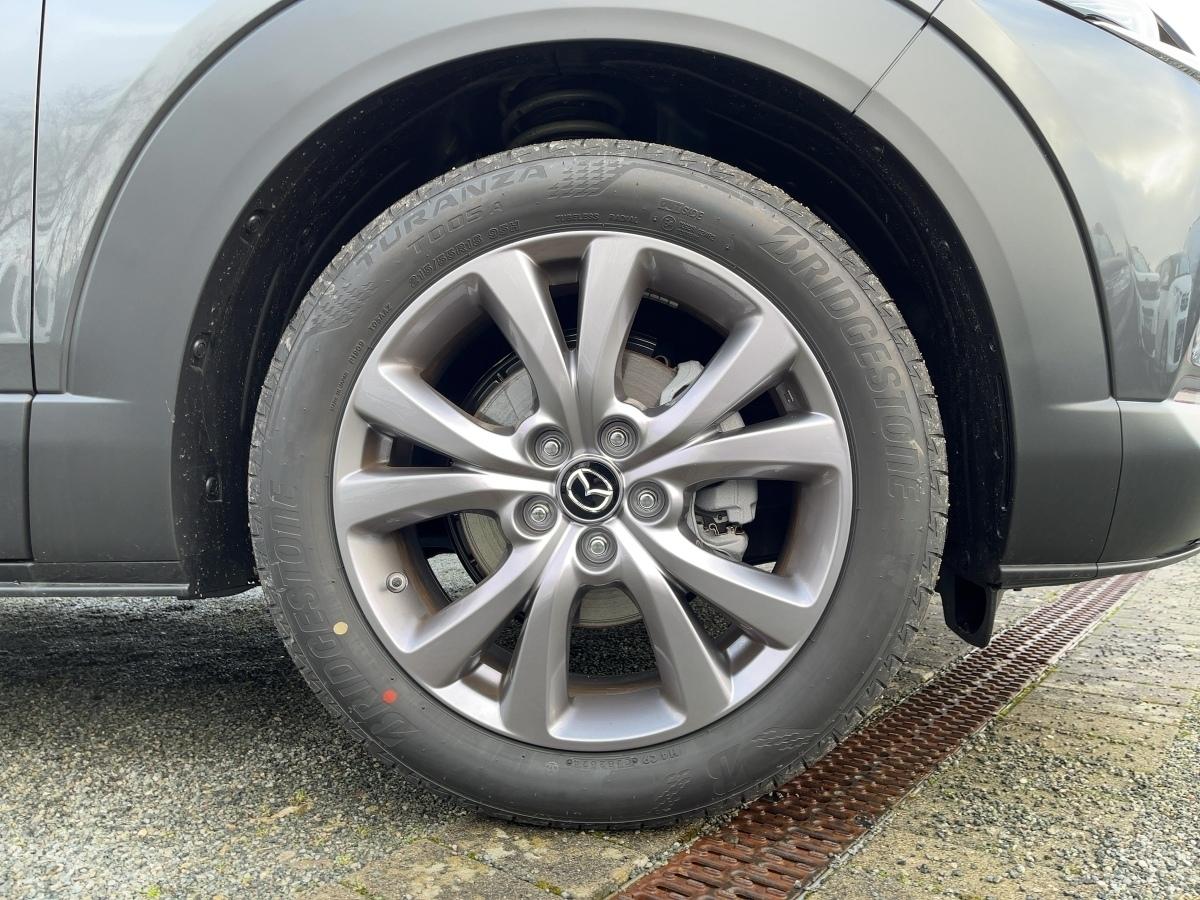 Fahrzeug-Bild 6