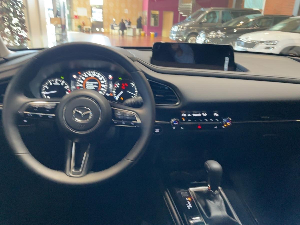Fahrzeug-Bild 11