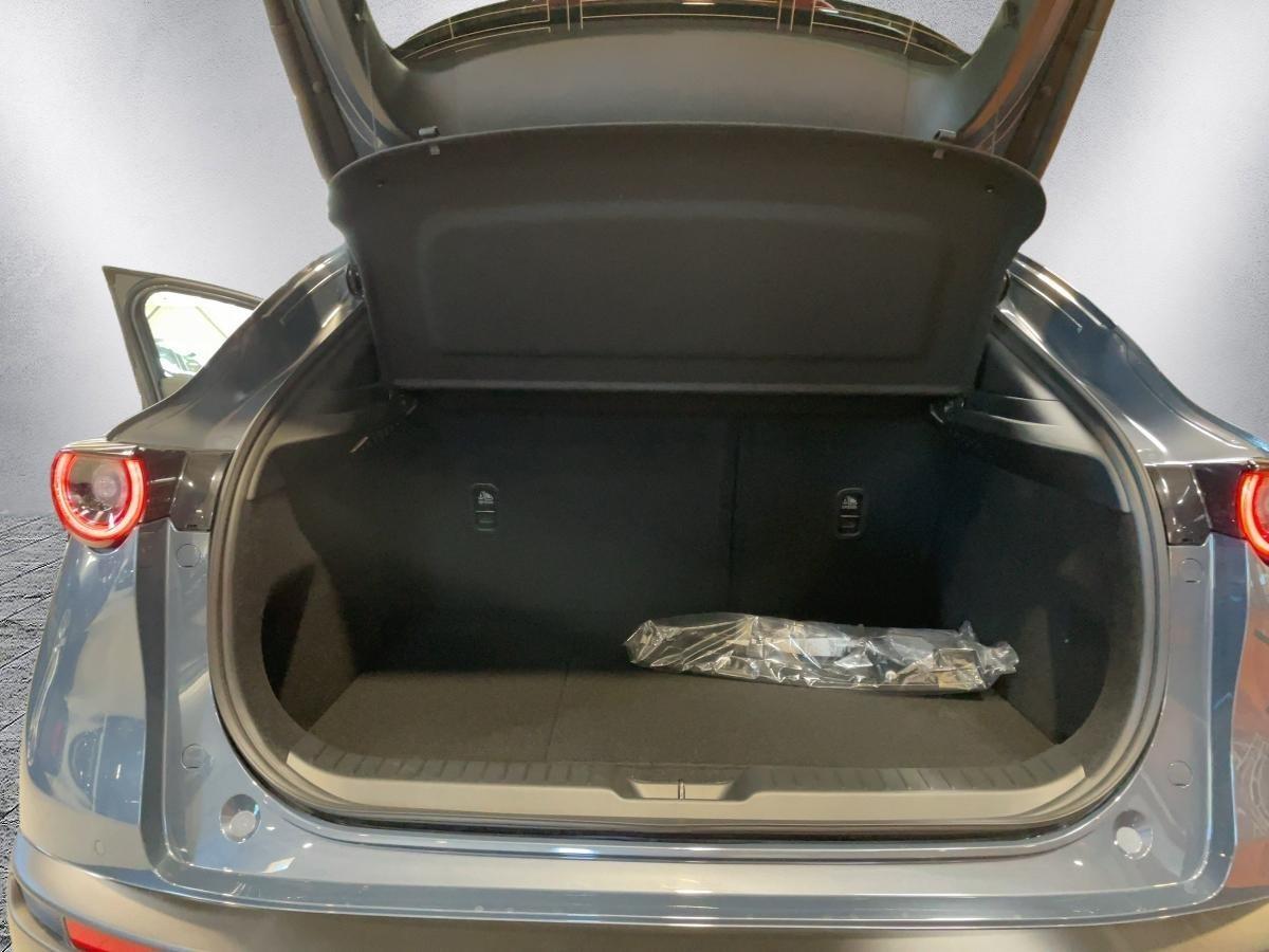 Fahrzeug-Bild 5
