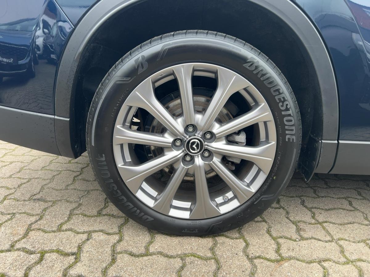 Fahrzeug-Bild 6